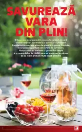 Catalog Kaufland săptămâna 31 Pagină 2