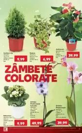 Catalog Kaufland săptămâna 31 Pagină 13