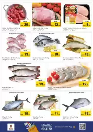 Nesto catalogue Page 12