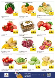 Nesto catalogue Page 13