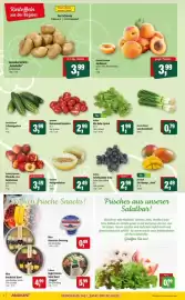 Markant Prospekt woche 31 Seite 6