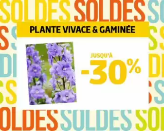 Catalogue Jardiland page 8