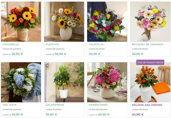 Florajet (valable jusqu'au 2-08)