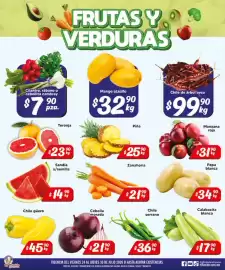 Folleto El Florido Página 5