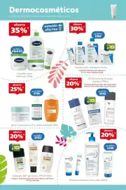 Folleto Farmacia San Pablo semana 31 Página 13