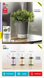 Catálogo BetterWare Página 52