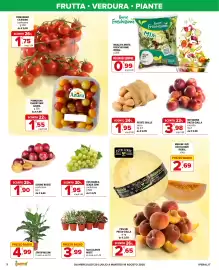 Volantino Iperal Pagina 2: SPATIPHILUM €4,99, Succulente Miste €3,99