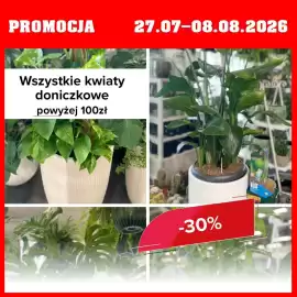 Szarotka gazetka Strona 6