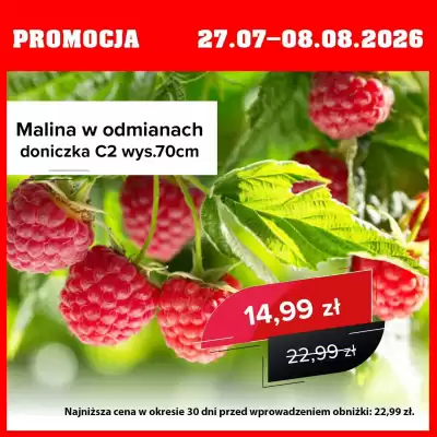 Szarotka gazetka (ważność do 8-08)