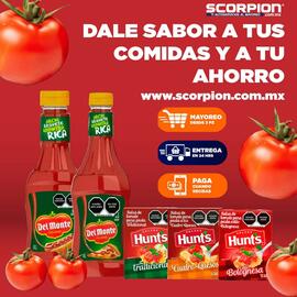 Folleto Scorpion Página 4