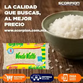 Folleto Scorpion Página 3