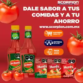 Folleto Scorpion Página 4