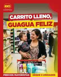 Catálogo Comercial Castro Página 1