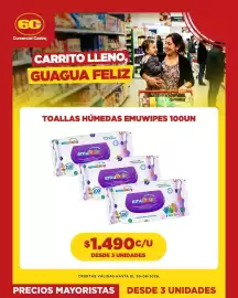 Catálogo Comercial Castro Página 3