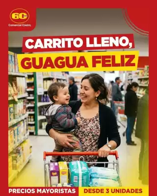 Catálogo Comercial Castro