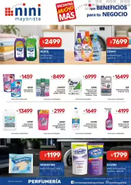 Catálogo Nini Mayorista semana 31 Página 10