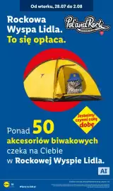 Lidl gazetka tydzień 31 Strona 10