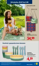 Lidl gazetka tydzień 31 Strona 17