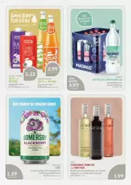 Edeka Struve Prospekt woche 32 Seite 13