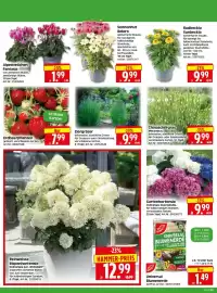 Herkules Baumarkt Prospekt woche 31 Seite 2