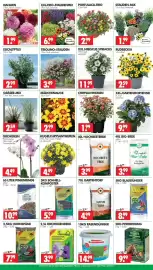 Wreesmann Prospekt woche 31 Seite 3