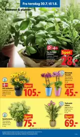 Lidl tilbudsavis Side 13