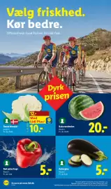 Lidl tilbudsavis Side 17