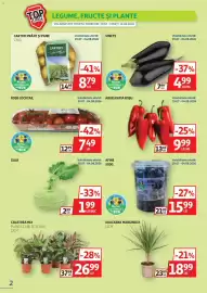 Catalog Auchan Pagină 2