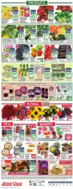 Jewel-Osco weekly ad week 31 Page 12