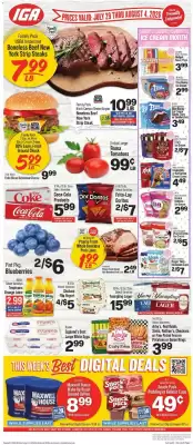 IGA (valid until 4-08)