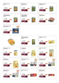 Volantino Prezzemolo e Vitale Pagina 13