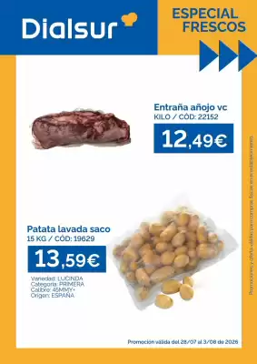 Folleto Dialsur Cash & Carry
