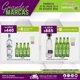 Folleto Bodegas Alianza Página 11
