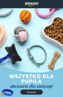 Amazon (ważność do 6-08)