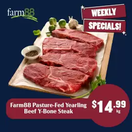 Tasman Butchers catalogue week 31 Page 4