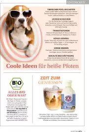 Combi Magazine Seite 9
