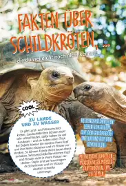 Combi Magazine Seite 93
