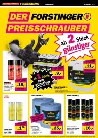 Forstinger Flugblatt Seite 8