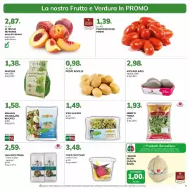 Volantino Basko Pagina 9