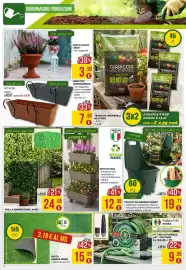 Volantino La Prealpina Pagina 18: Arella sempreverde lauro €24,95, VASO CON APPENDIMENTO €7,95
