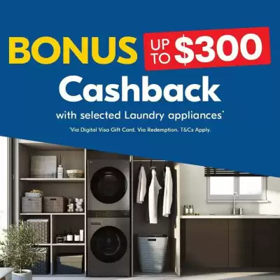 Betta (valid until 11-08)