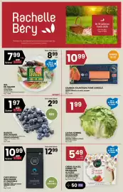 Rachelle-Bery Grocery flyer week 31 Page 1