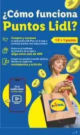 Catálogo Lidl semana 32 Página 25