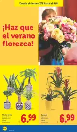 Catálogo Lidl semana 32 Página 58