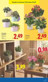 Catálogo Lidl semana 32 Página 59