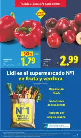 Catálogo Lidl semana 32 Página 9