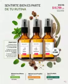 Catálogo Bagués Página 17