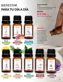 Catálogo Bagués Página 19