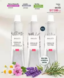 Catálogo Bagués Página 23