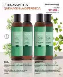 Catálogo Bagués Página 29